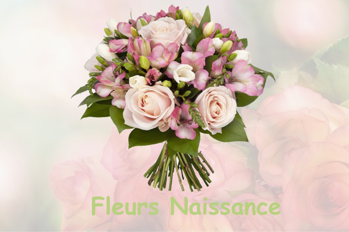 fleurs naissance TARON-SADIRAC-VIELLENAVE